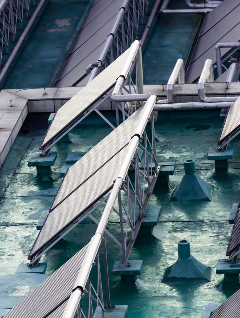 ecology-sunny-summer-global-alternative ecology-sunny-summer-global-alternative